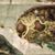 Terry Westrope's profile image