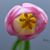 Kristina Mulready's profile image