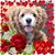 Patricia Moran's profile image