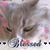 Jackie Anderson's profile image