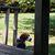 Gina Edens's profile image