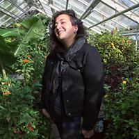 Lauren Vallone's profile image