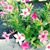 Linda Gallo's profile image