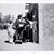 Frances Herren's profile image