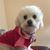 Maritha Acosta's profile image
