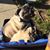 Andy Fabbro's profile image