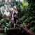 Cassie Giddens's profile image