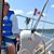 Nicole Yeomans's profile image