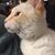 Betty Condry-Sarjeant's profile image