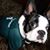 Bette Volk's profile image