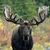 Wendy Garrison's profile image