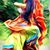 Nelson Lima Pimentel's profile image