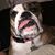 Kellie Ramos's profile image