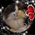 Christina Crowe Street's profile image