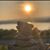 Pankaj Singh Chauhan's profile image