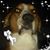 Natalie Pici's profile image