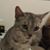 Sharon Crane's profile image