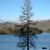 Sandy Burnett's profile image
