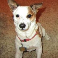 Tabitha Cordell's profile image