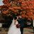 Amanda Glaze's profile image