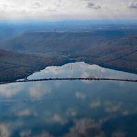 Tracy Burroughs Brown's profile image