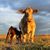 Kathy Alexander's profile image