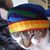 Clare Naylor-panfili's profile image