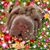 Steve Adamowski's profile image