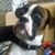Robert Rj Edwards's profile image