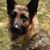 Don Barkmeier's profile image