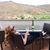 Nichole Alberg's profile image
