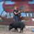 Lynne Boismier's profile image