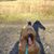 Candice Dufresne's profile image