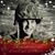 Mary Vollmer's profile image
