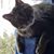Tammy Hathaway's profile image