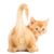 James C. Crawford's profile image