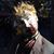 Chris Red's profile image