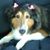 Teresa Thrasher's profile image