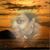 Chan Hill's profile image