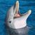 Sandi Lau DelVicario's profile image
