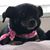 Lesley Ann Carter's profile image