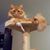 Tom Diehl's profile image