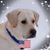 Gisela Allen's profile image