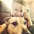 Liz Goodsman's profile image