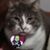 Jacksonphephe Julie Spadaro's profile image