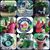 Denise Rocchiccioli's profile image