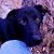 Jim McFaddin's profile image