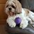 Roslyn Mair's profile image