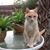 Christine Simon's profile image