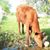 Jess Sitter's profile image
